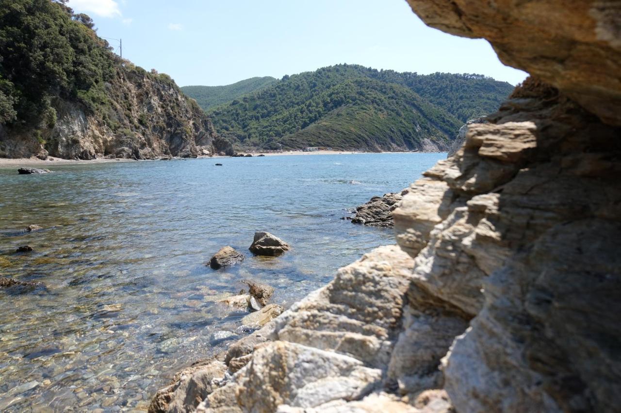 Taxiarchis Apartments Skiathos-stad Buitenkant foto